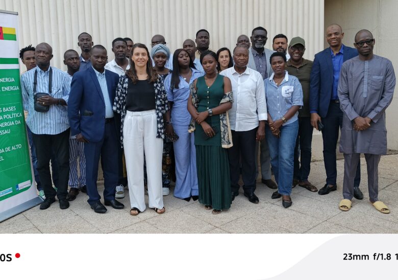 Guiné-Bissau: a CEDEAO, através da ROGEAP e do Banco Mundial, apoia a política energética