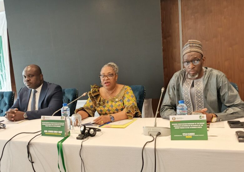 Ouverture du 3e atelier régional du réseau des journalistes du ROGEAP sur  les résultats dudit projet