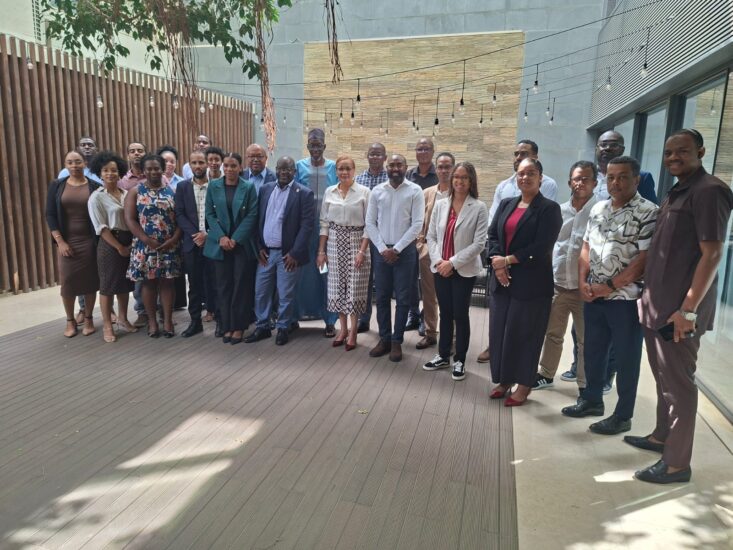 PRAIA : Le ROGEAP forme les acteurs clés aux normes régionales sur les systèmes solaires autonomes de puissances <= à 350 Wc