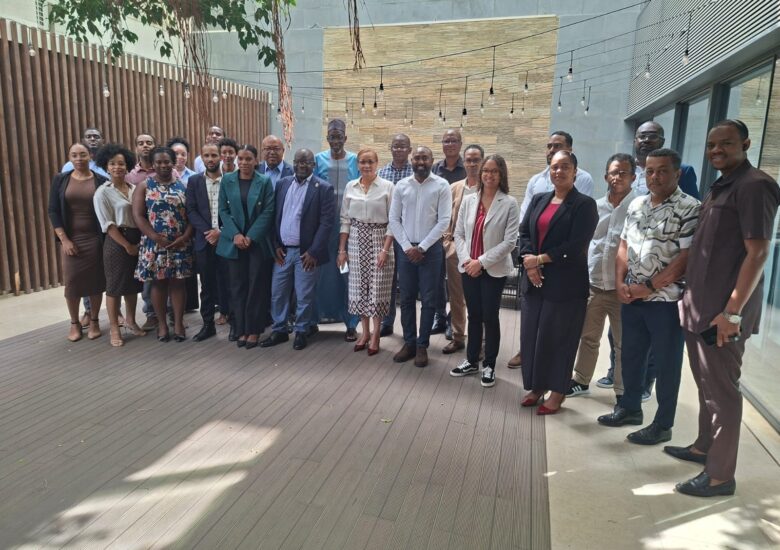 PRAIA : Le ROGEAP forme les acteurs clés aux normes régionales sur les systèmes solaires autonomes de puissances <= à 350 Wc